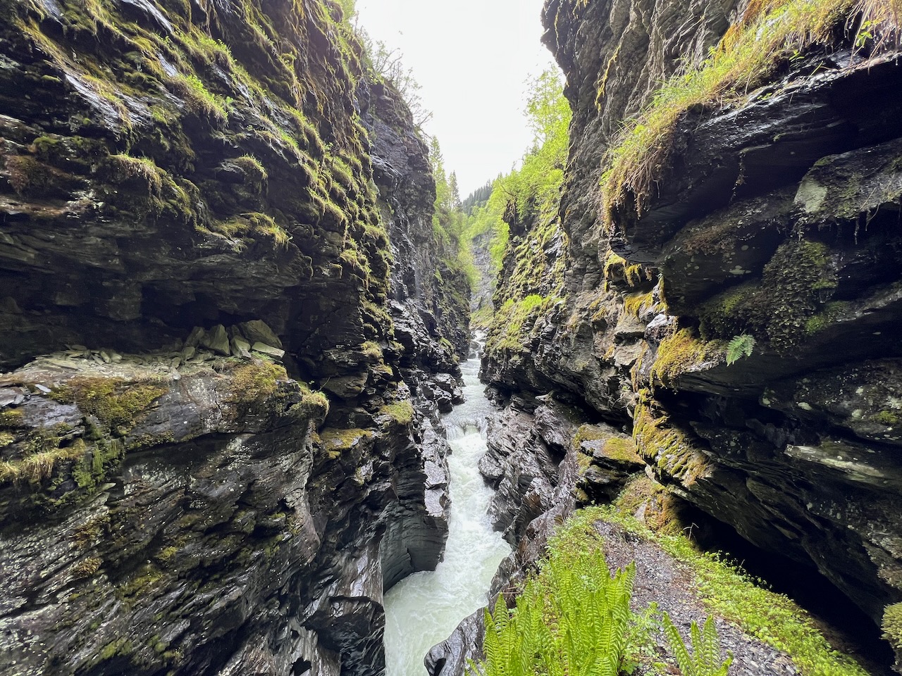 Bordalsgjelet