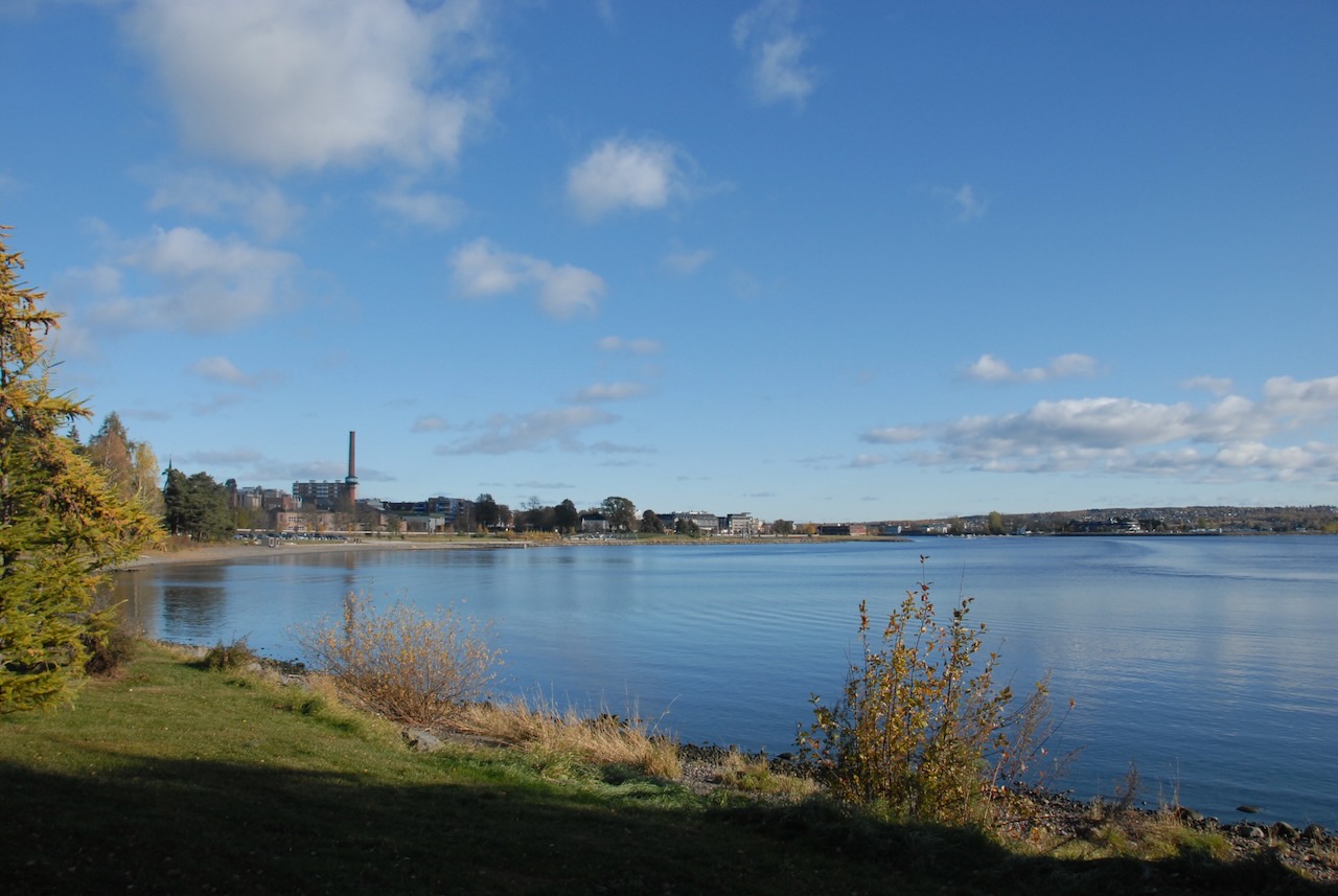 Hamar