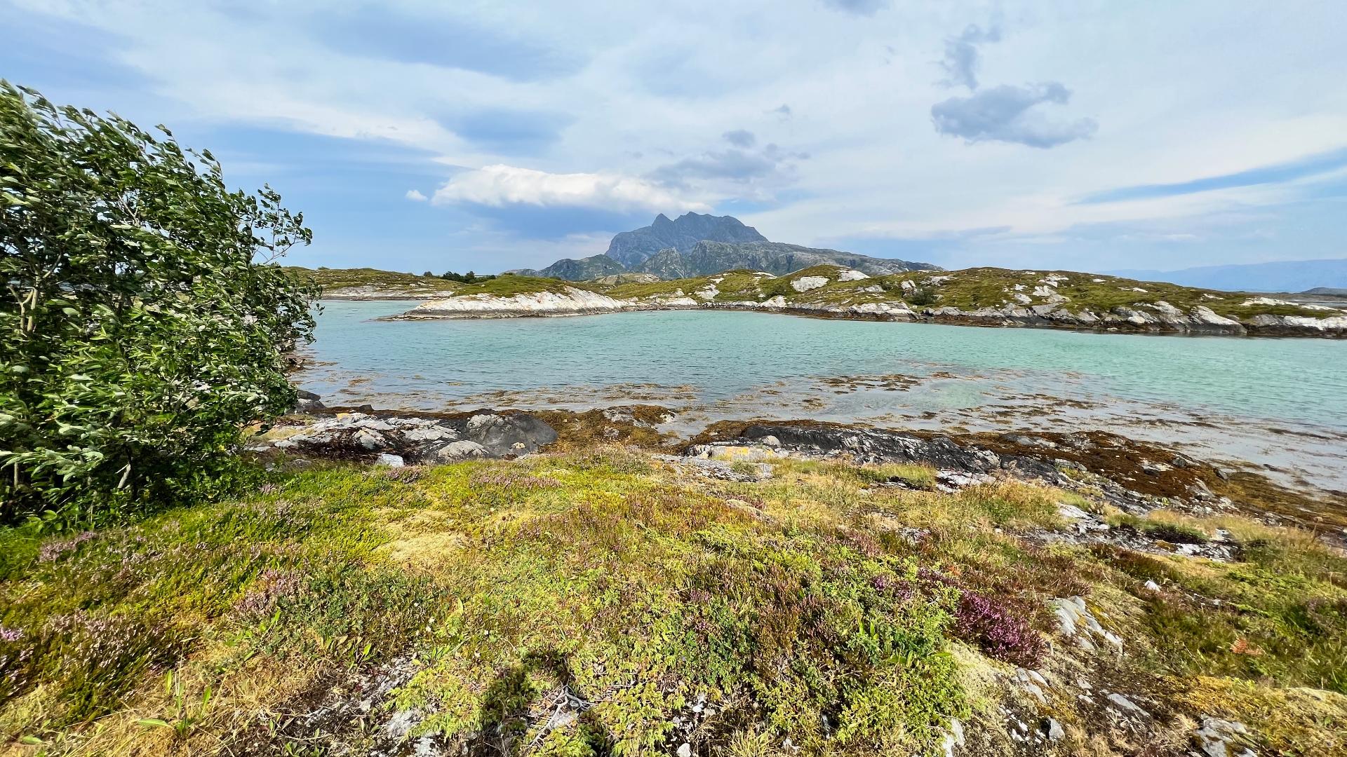 Herøy (Helgeland)