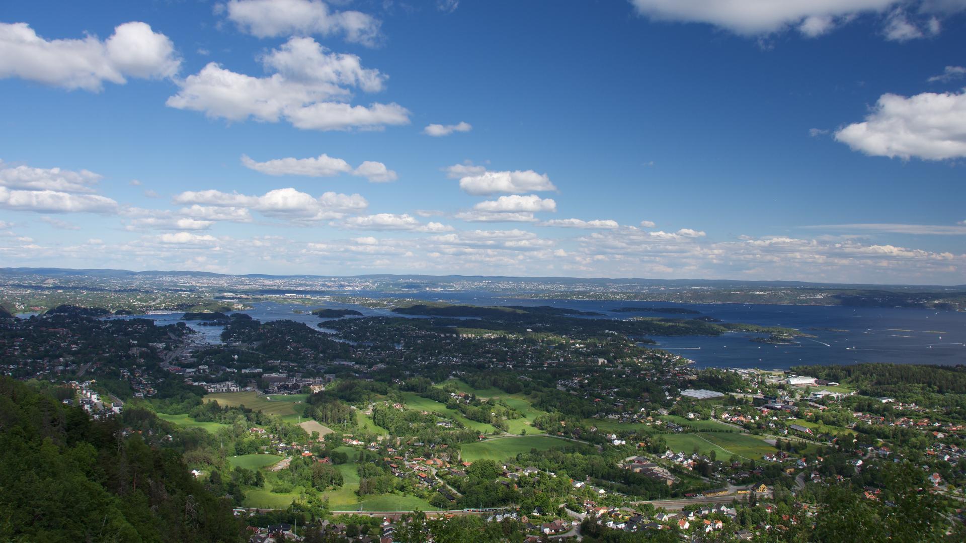 Skaugumåsen