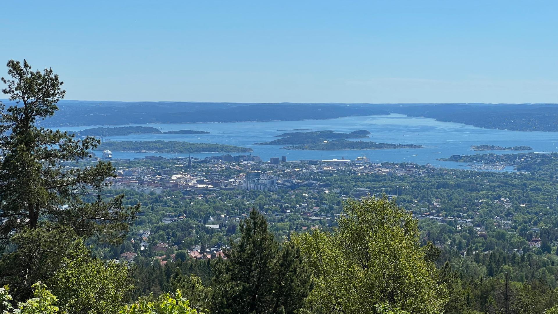 Vettakollen