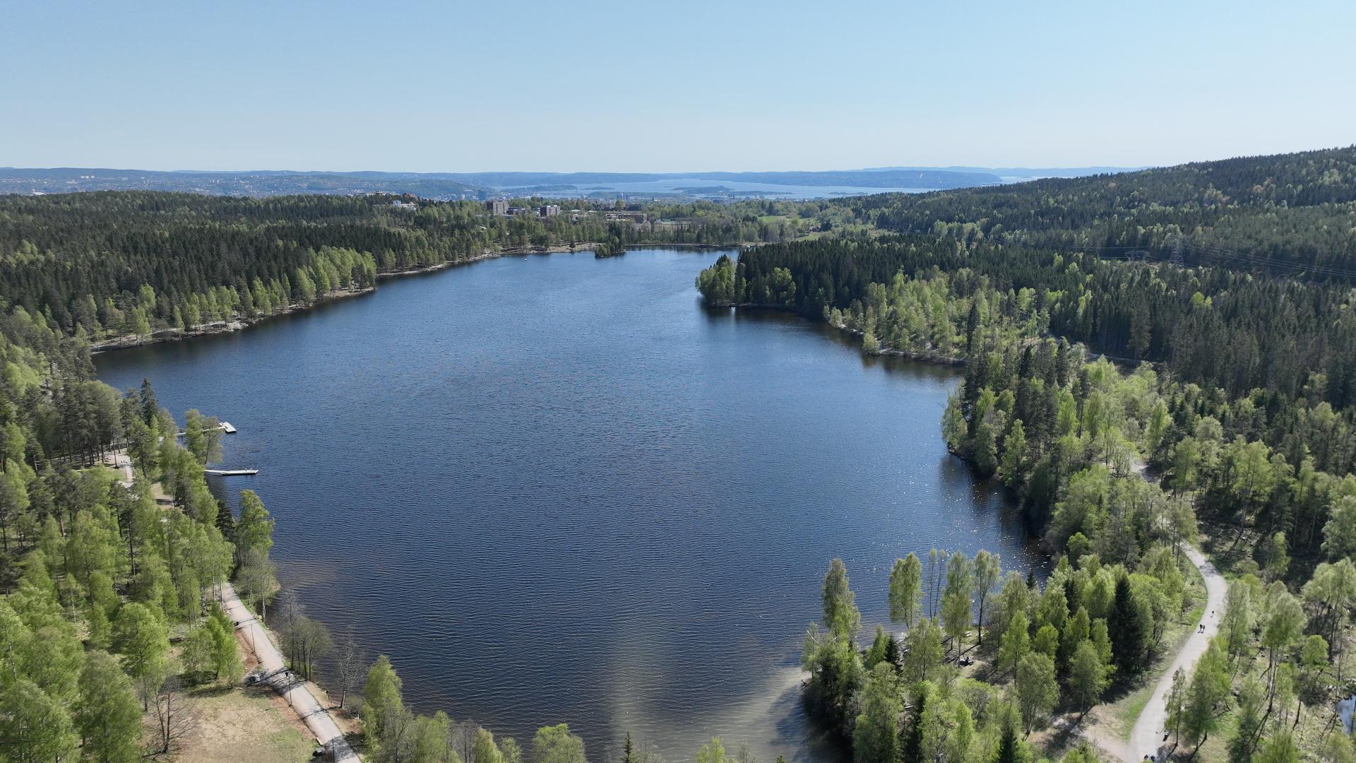 Sognsvann
