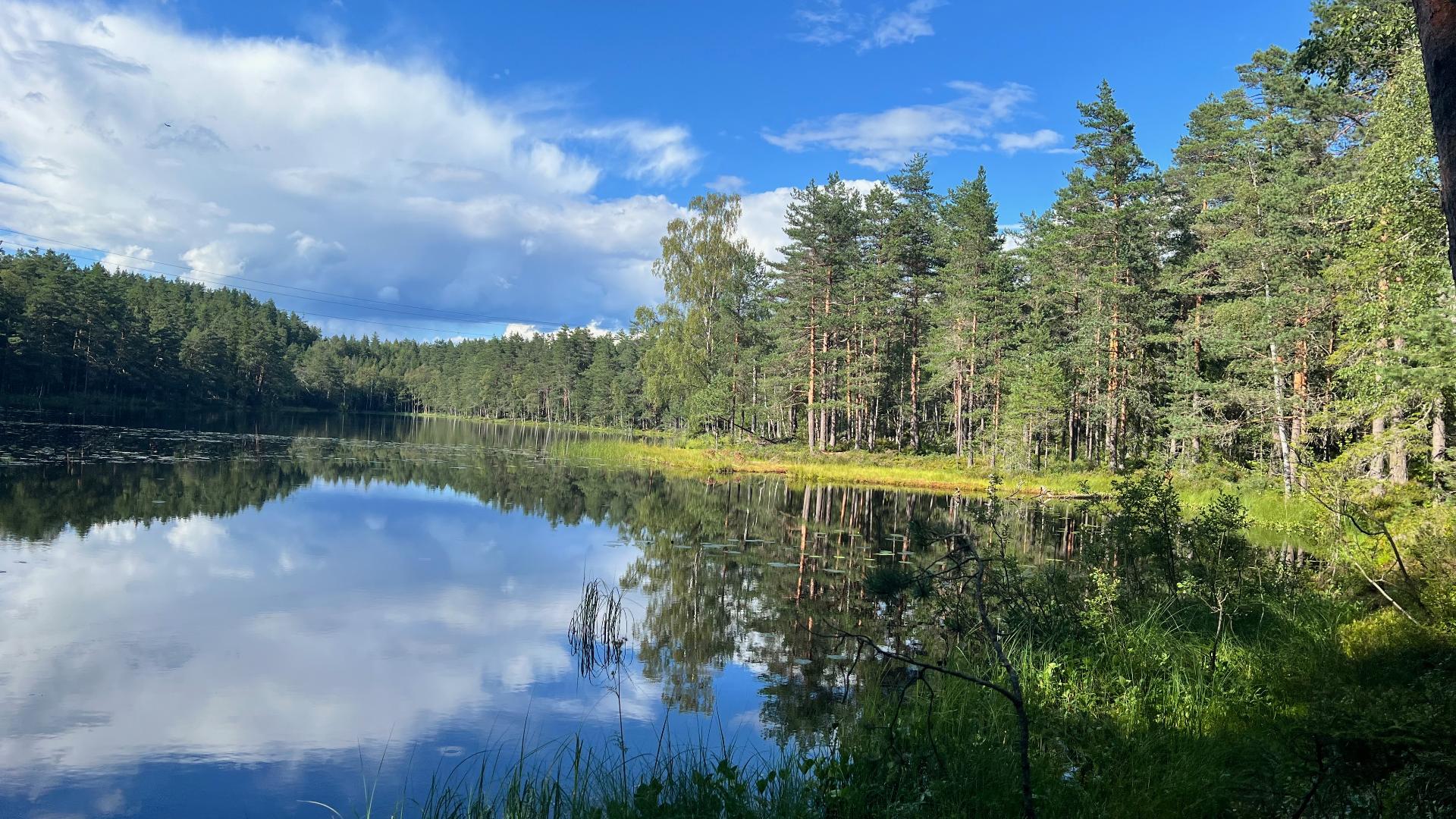 Østmarka National Park