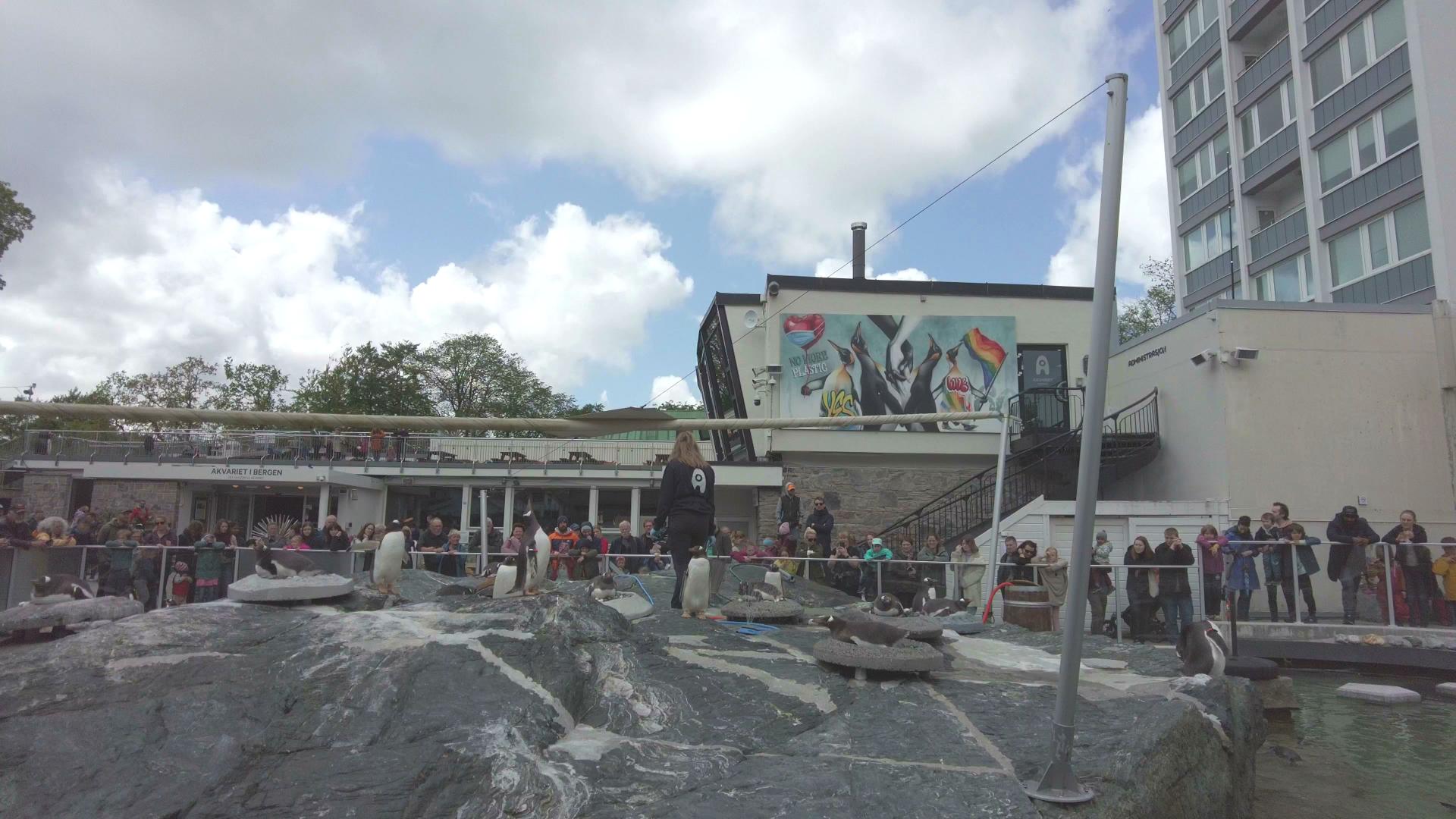 Bergen Aquarium