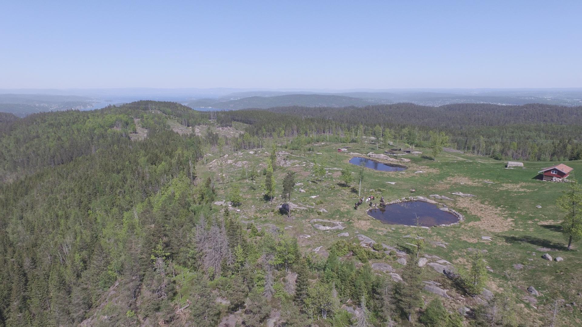 Bjørnåsen