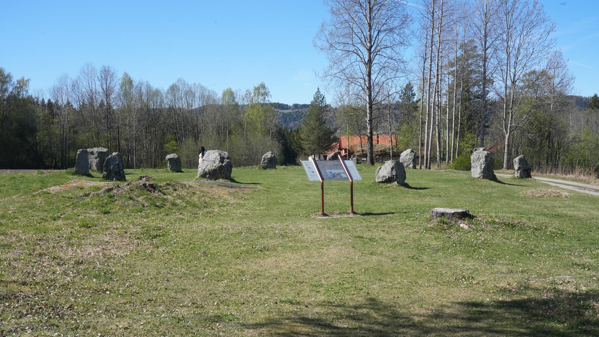 Tolvsteinringen