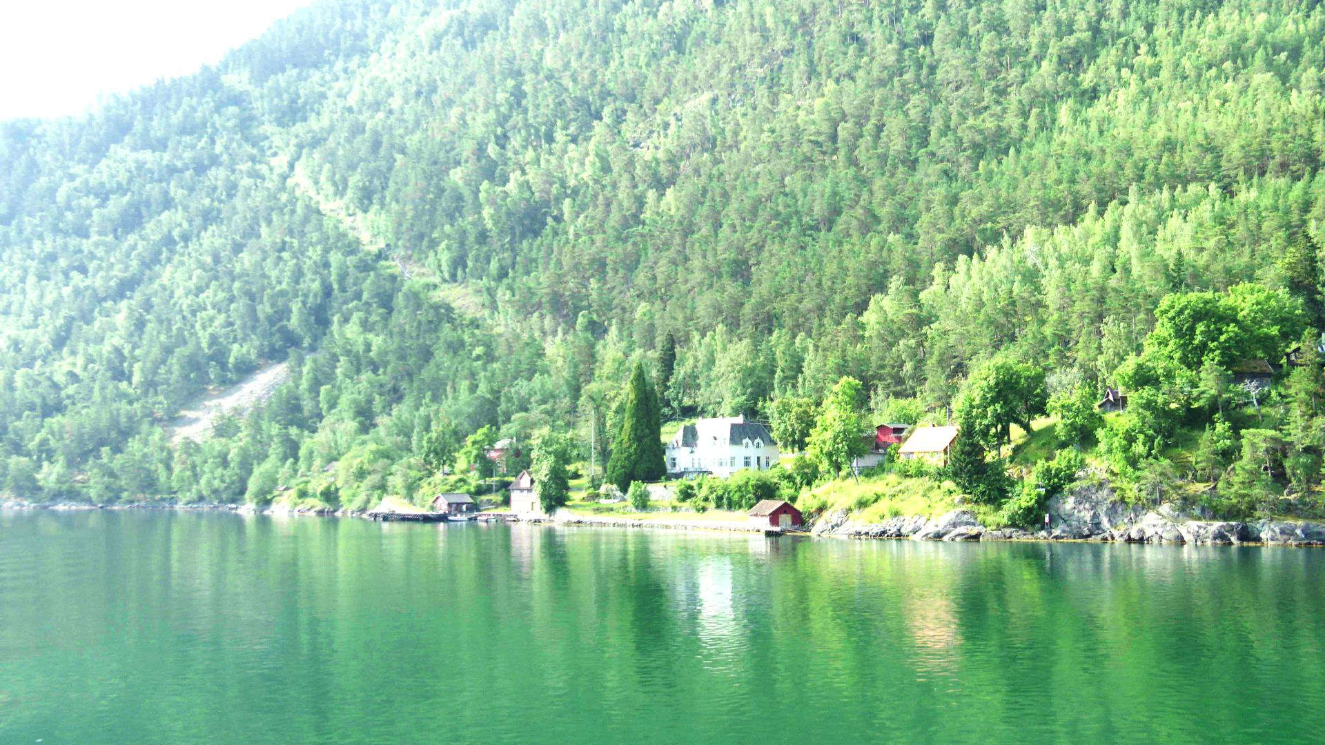 Frønningen