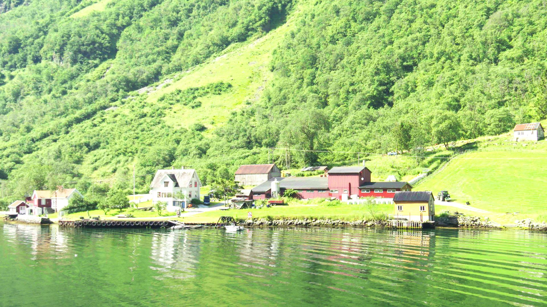 Bakka