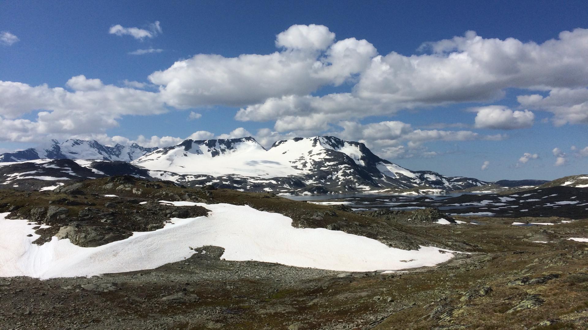 Sognefjellsveien