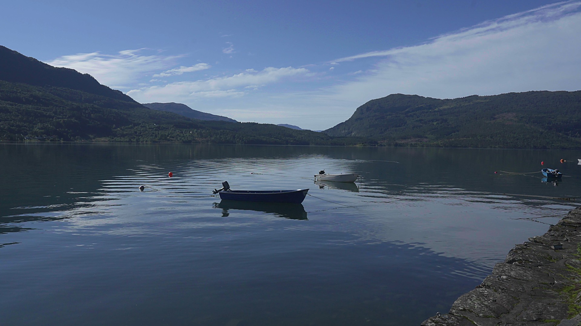 Hafslo