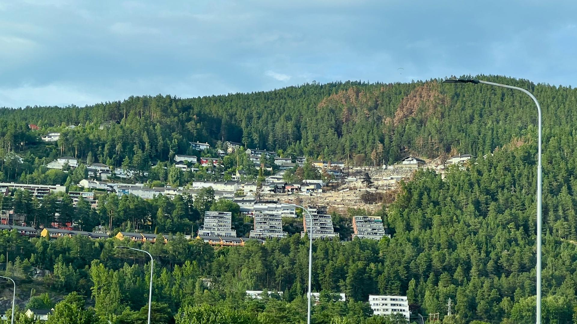 Krokstadelva